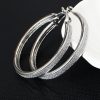 Women's All-match Simple Frosted Big Circle Earrings