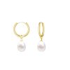 Water Drop Shape Pearl Earrings