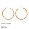Broad Round Hoops Earrings