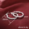 Big Circle Earrings Fashion Graceful Earring