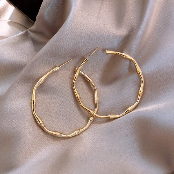 Silver Needle Exaggerated Circle Exaggerated Earrings