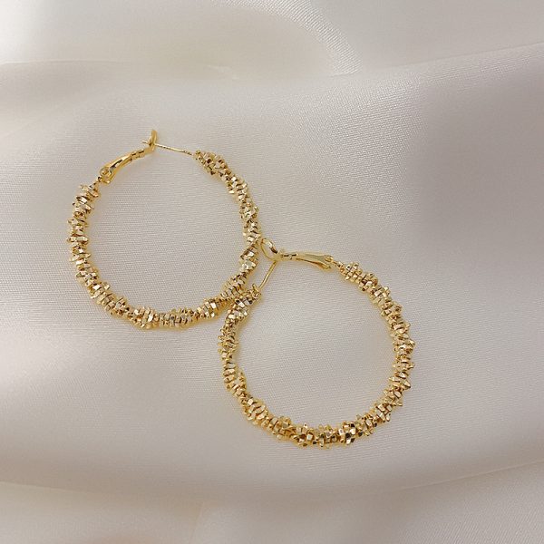 Silver Needle Exaggerated Circle Exaggerated Earrings