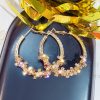 Exaggerated Circle Full Of Diamond Earrings Fashionable