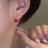 Cross-border Hot Selling New Russian Fashion Rose Redstone Hollow Stud Earrings Pendant Suit