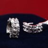 Double Row Diamond Circle Zircon Earrings