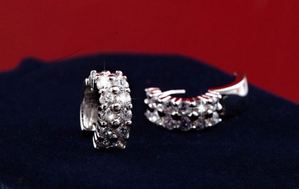 Double Row Diamond Circle Zircon Earrings