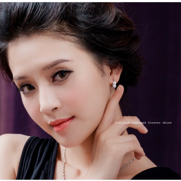 Double Row Diamond Circle Zircon Earrings