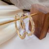 S925 Silver Needle European And American Micro-inlaid Zircon Circle Earrings