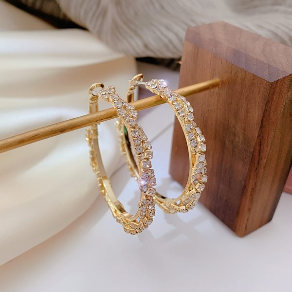 S925 Silver Needle European And American Micro-inlaid Zircon Circle Earrings