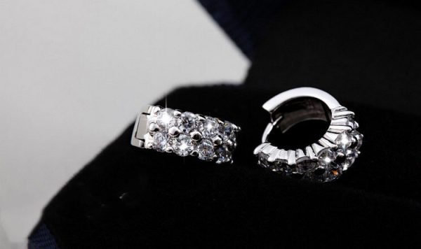 Double Row Diamond Circle Zircon Earrings