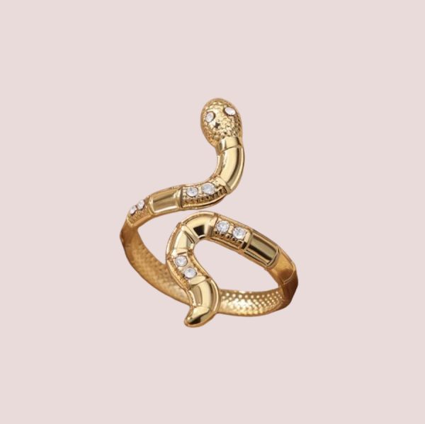 Cross-border Personality Of Snake-shaped Open Ring