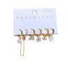 Ladies Fashion Personality Premium Earring Set