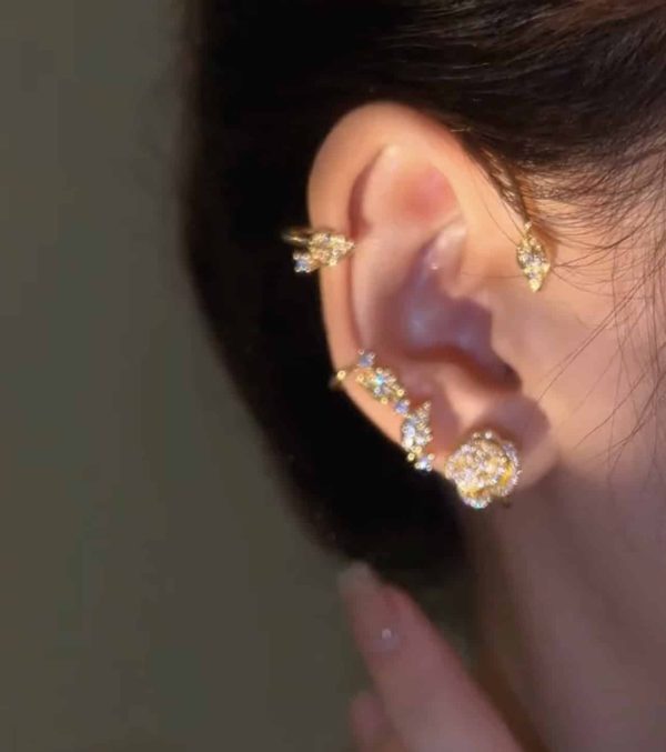 ed7b19f9-ea52-485c-9706-49c7d4942377.jpg Vintage Light Luxury Rose Earrings Set With Zircon Earrings