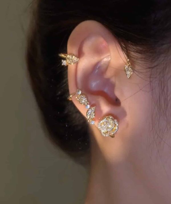 f7c41add-76a2-4108-b24a-9762e46da9f2.jpg Vintage Light Luxury Rose Earrings Set With Zircon Earrings