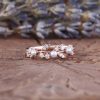 Leaf Ring Women's Special-interest Design Light Luxury Cold Style