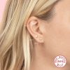 S925 Sterling Silver Petal Crystal Flowers Stud Earrings